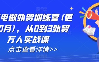 AI闪电做外贸训练营(更新25年4月)，从0到3外贸万人实战课