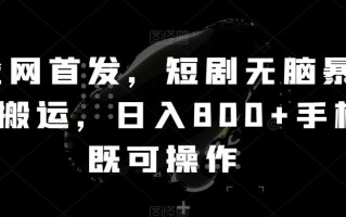 全网首发，短剧无脑暴力搬运，日入800+手机既可操作