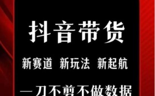 抖音短视频一刀不剪带货，不剪辑，不直播，每天发个视频，等着出单获取带货佣金