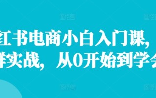 小红书电商小白入门课，店群实战，从0开始到学会