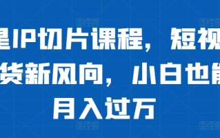 明星IP切片课程，短视频带货新风向，小白也能月入过万